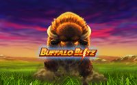 slot machine gratis buffalo blitz