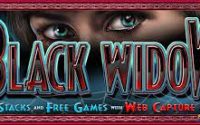 slot machine black widow